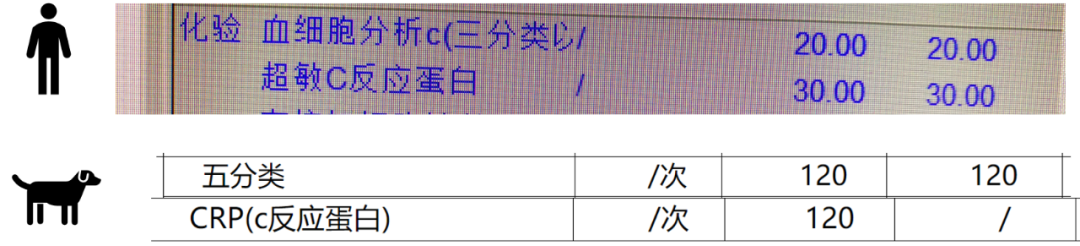 宠物做X光多少钱（宠物医院X光检查费用参考）