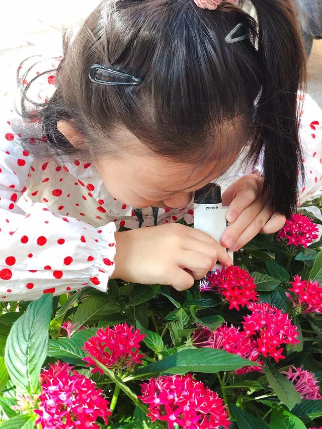 儿童科学探索显微镜，启发孩子科学探索思维
