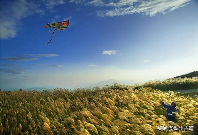 苍南10大名山,苍南的这十座名山,你都爬过吗 苍南10大名山,苍南的这十座名山,你都爬过吗