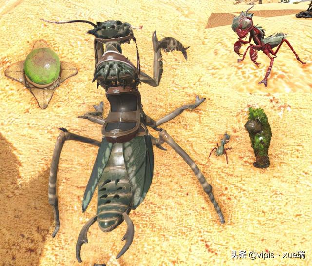 方舟生存进化生物篇—螳螂