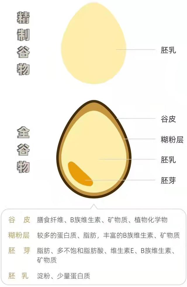 麦片的热量(热量几乎为零的主食)