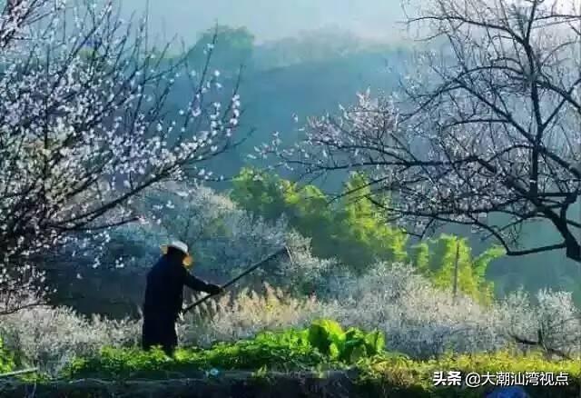 普宁八个风景名胜区，在普宁，适合去哪旅游