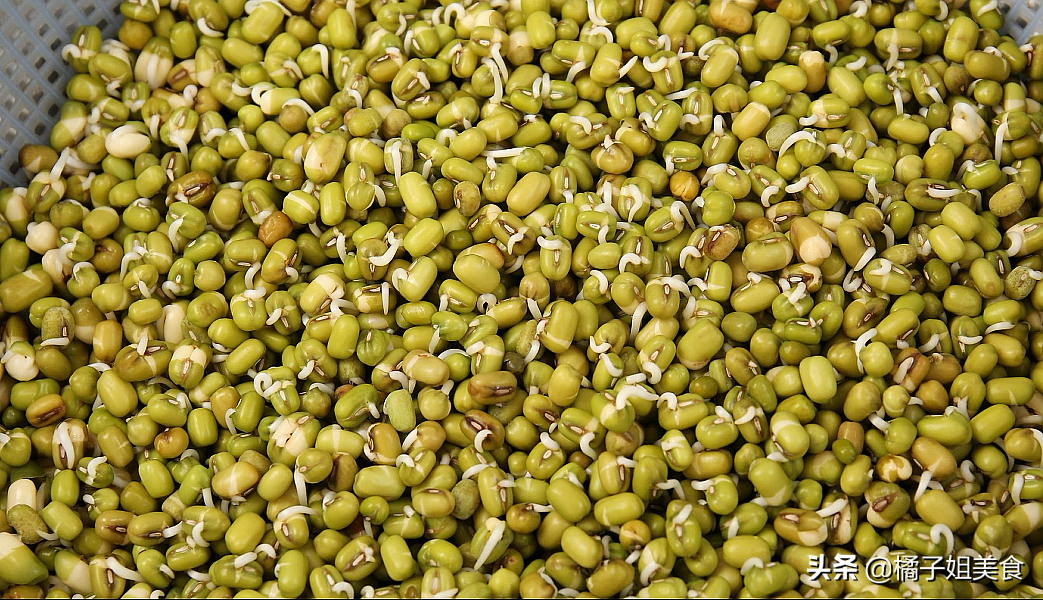 圖片[6]-如何在家生綠豆芽-起舞食譜網(wǎng)