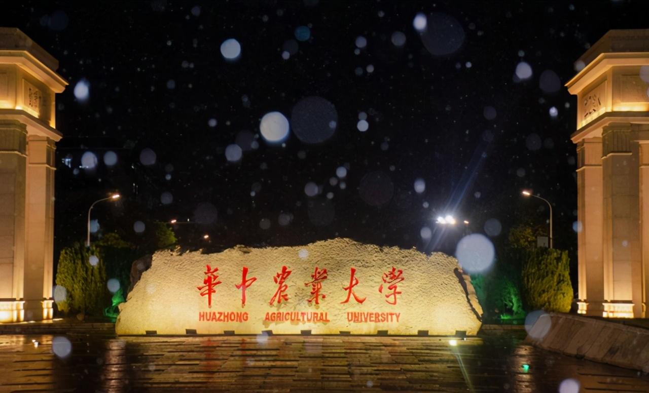 中南财经政法大学武汉学院怎么样(湖北一所211大学)