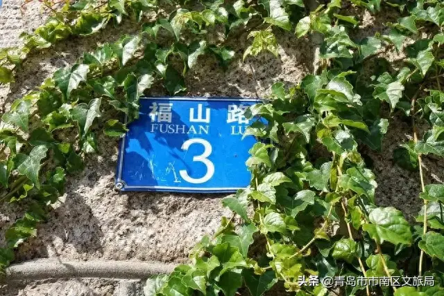 客在岛城 | 与沈从文先生，凭栏、看海、听风