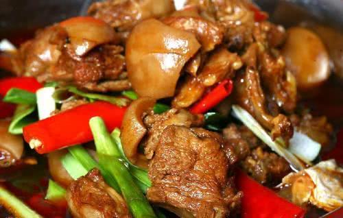 猫肉的做法大全食谱(猫肉炖汤做法)