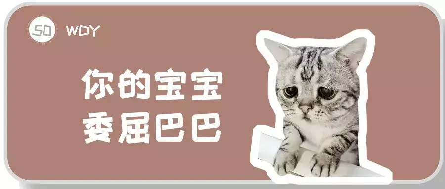 危及猫咪生命的尿道疾病 猫咪尿道疾病｜膀胱结石