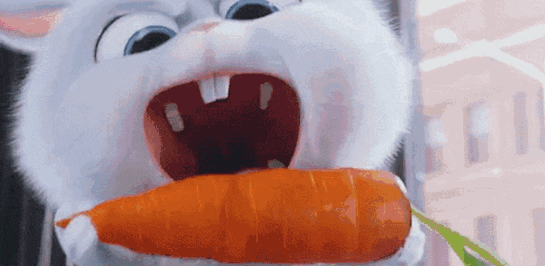 红葱头油盐水蒸金鳞鱼怎么做，全国人民就非吃饺子不可吗