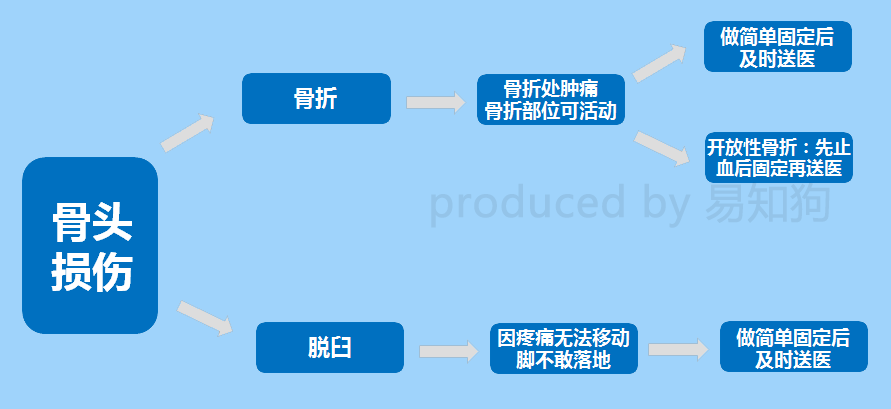 两个月小狗灌肠多少毫升（宠物医生教你正确灌肠方法）