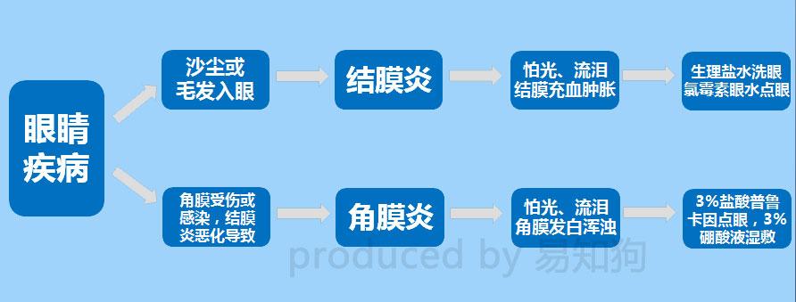 狗狗细小好了后腿站不起来 不去宠物医院也能处理