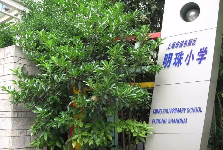 周浦实验学校浦东排名(拒绝佛系) 周浦实验学校浦东排名(拒绝佛系)