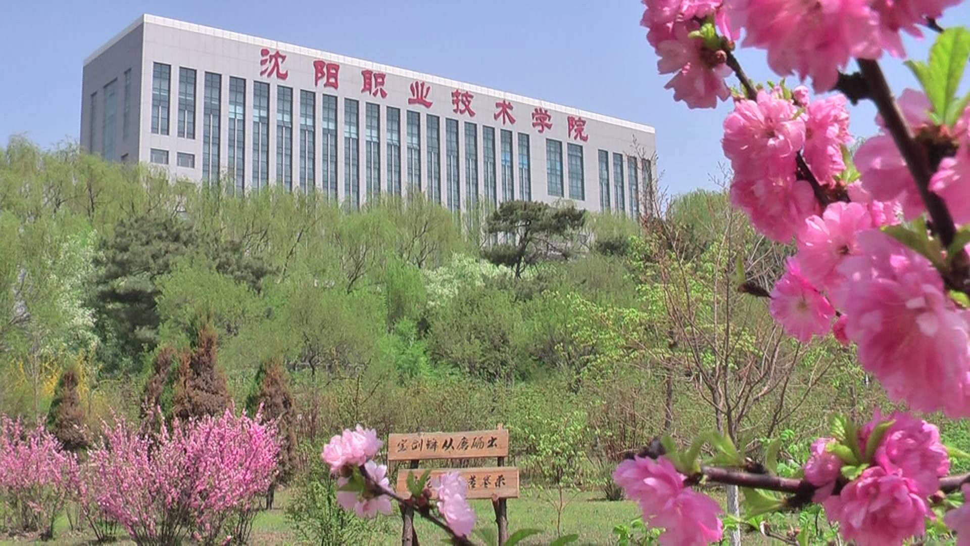 沈阳职工大学,沈阳市机电工业学校3所院校合并而成,是教育部首批现代