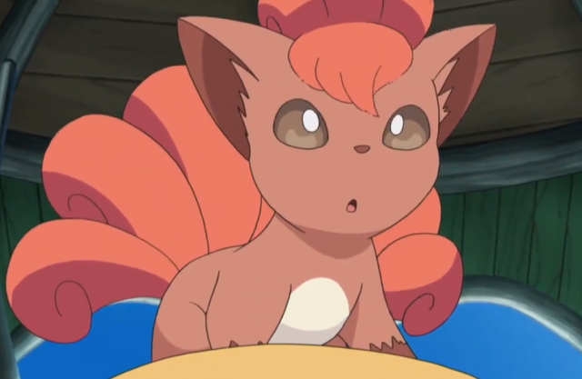 《宝可梦》来源与生态:六尾与狐妖的关联,同时是可爱的北极狐?