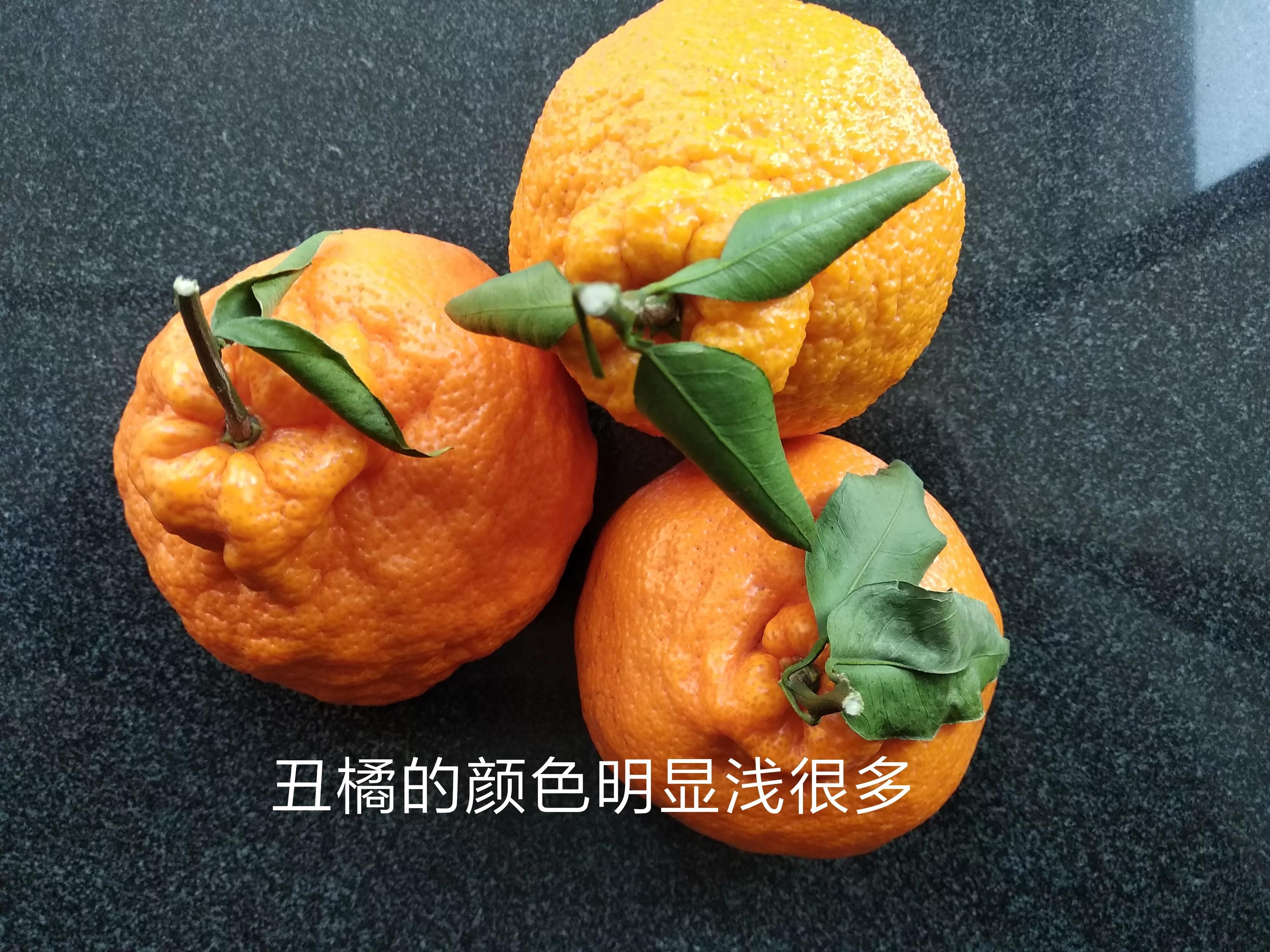 丑橘和粑粑柑有什么区别（详解两种柑橘类水果的差异）