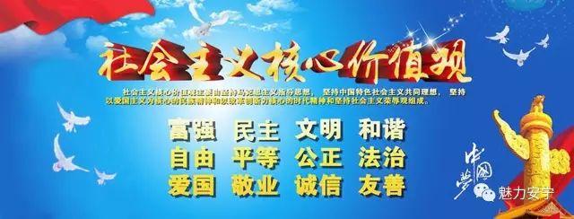 新建村家电维修售后安装 【志愿服务】“修家电找五〇一台‘解忧维修铺’”