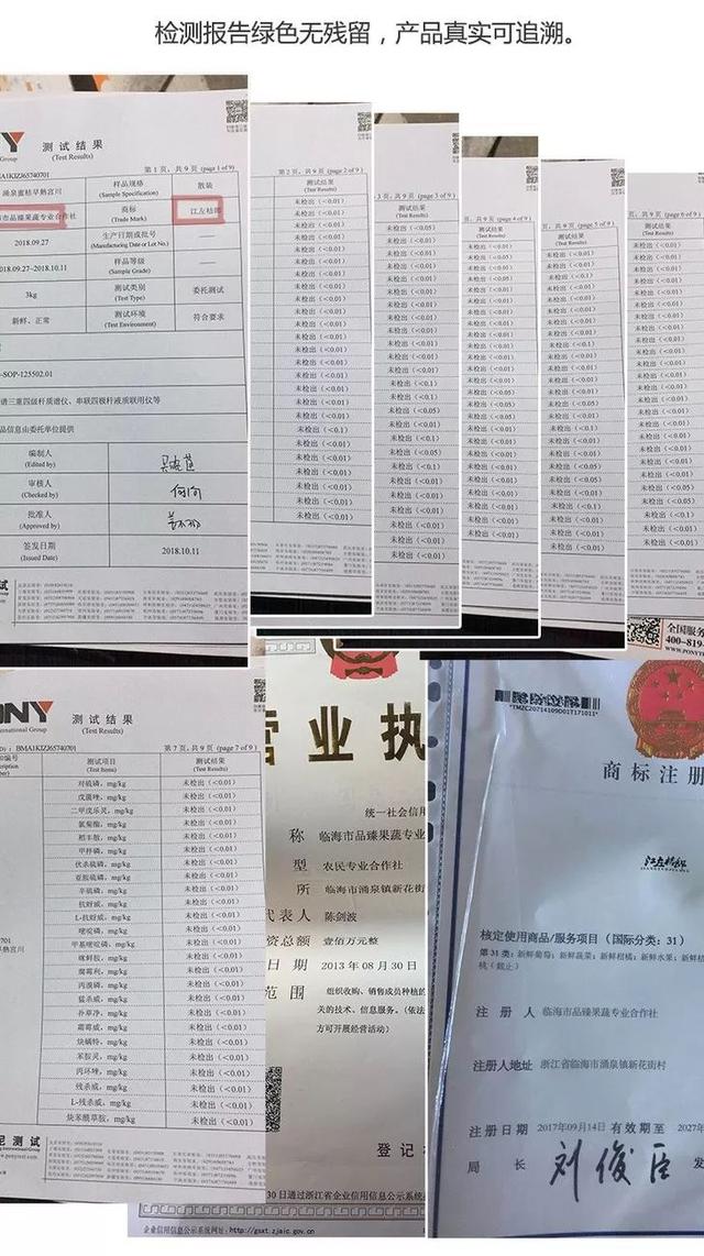 涌泉蜜桔还是泉涌蜜橘，连吃10个都停不下来的神奇橘子到底啥来头