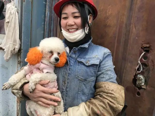 地瓜小表妹长什么样子(地瓜妹妹现在真实的照片)