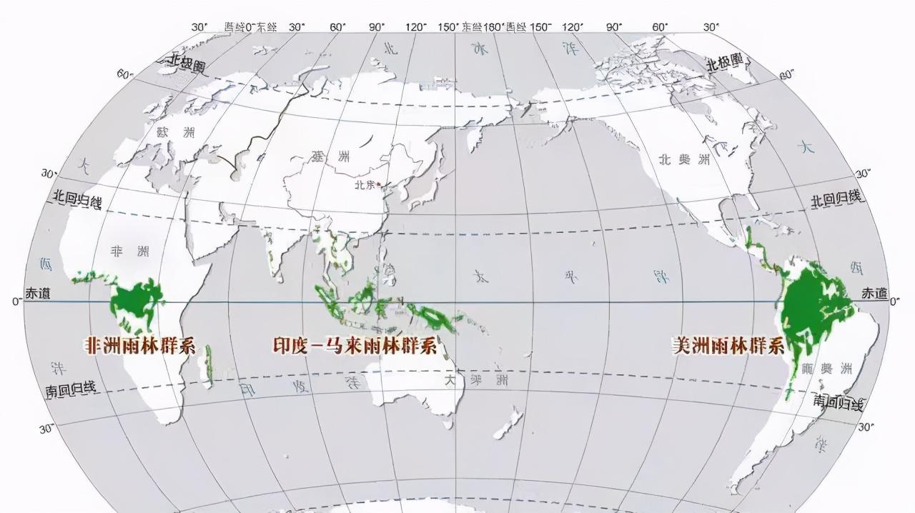 泰坦巨蟒真的存在吗（附：泰坦巨蟒化石图片）