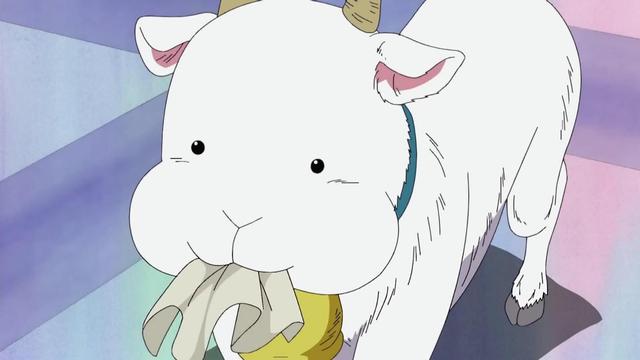 热血海贼王宠物(热血海贼王宠物大全)