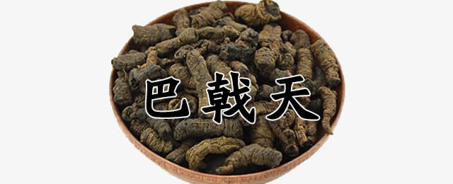 巴戟天的功效与作用（巴戟天的作用有哪些）