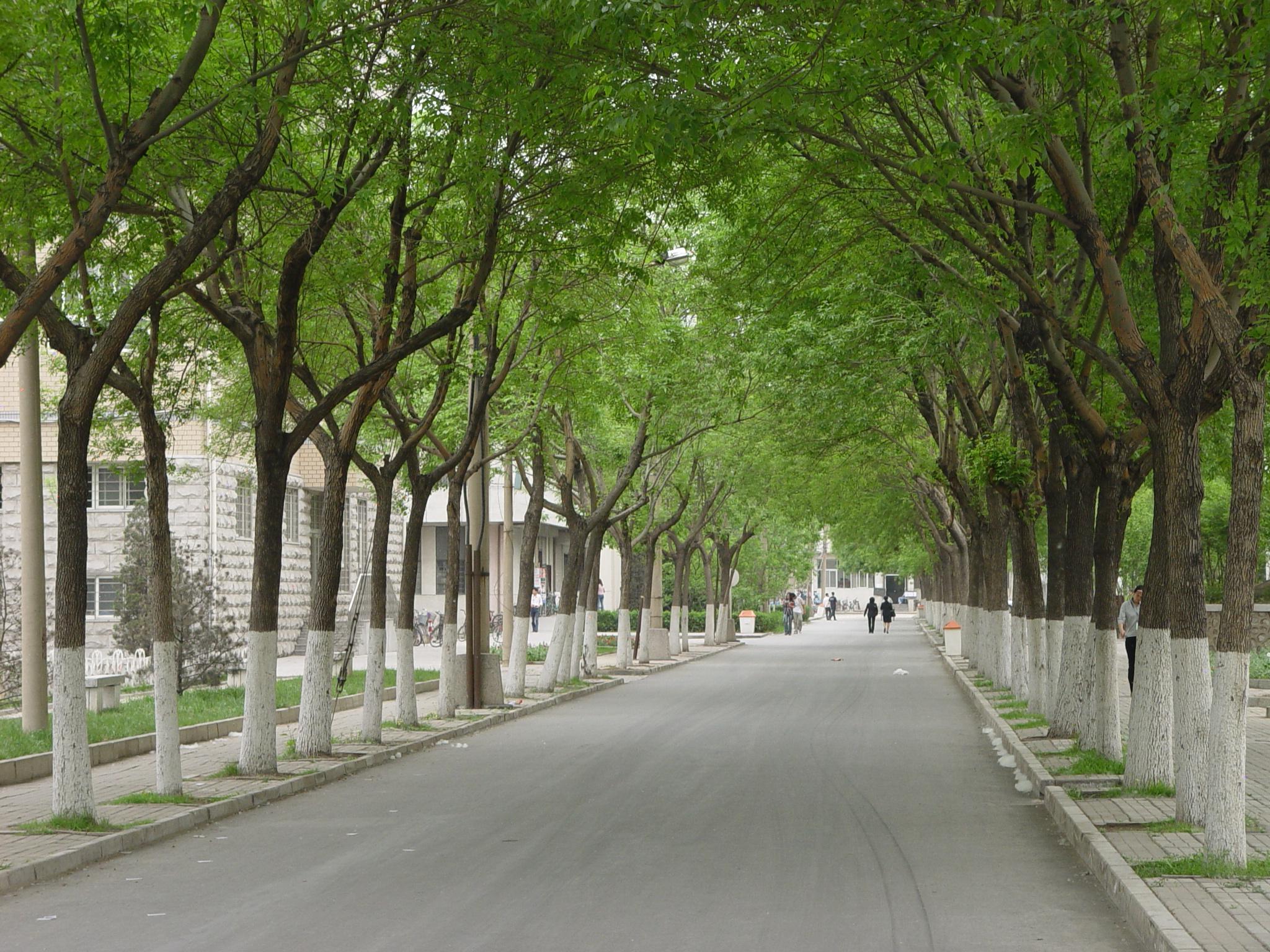 天津商業大學校訓(天津最年輕的大學)