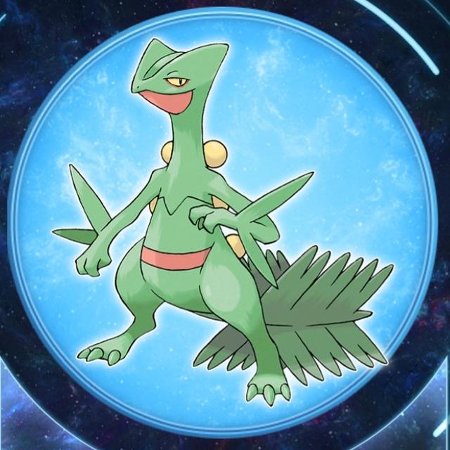 口袋妖怪特攻努力值刷什么怪(口袋妖怪刷努力值表)