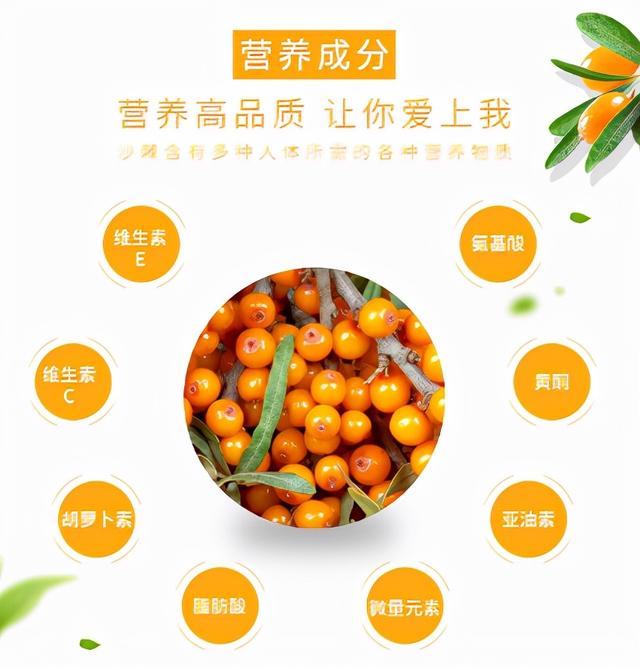 沙棘如何食用图片