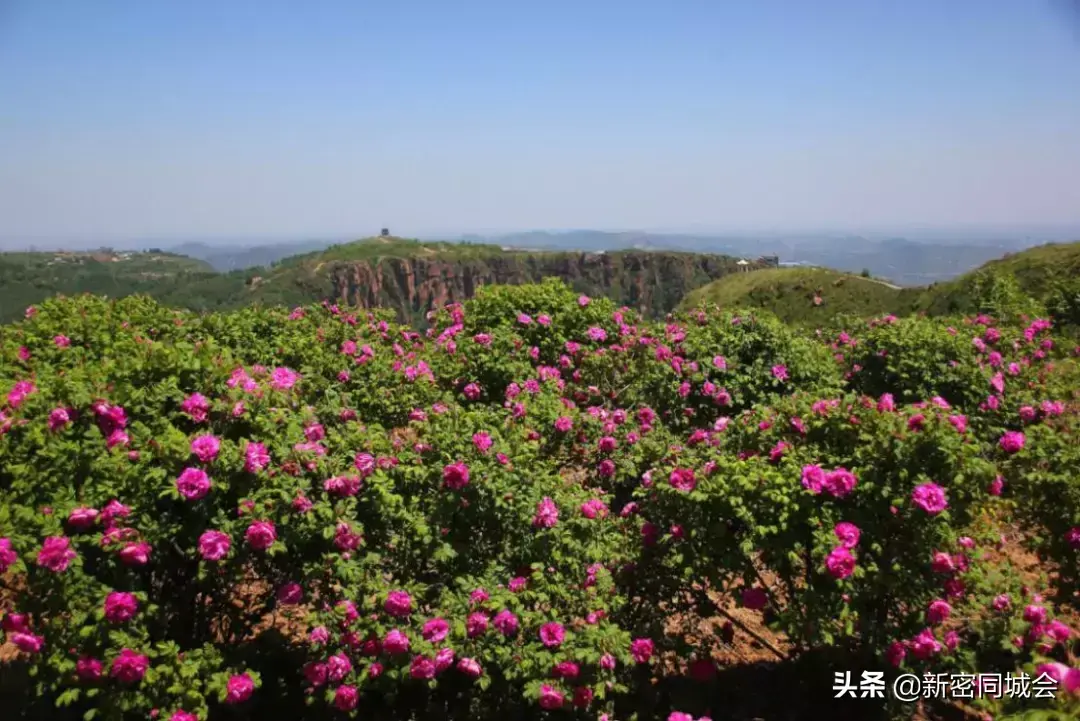 伏羲山在哪个地方（郑州伏羲山旅游攻略）