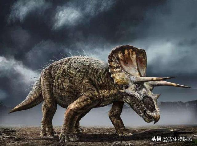三角龙的简单介绍，三角龙的这些冷知识