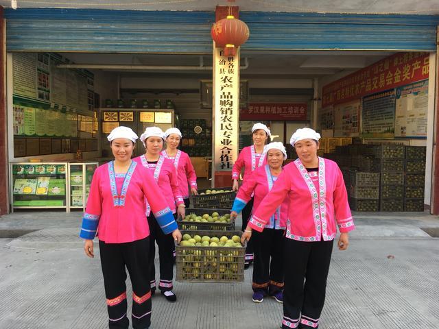 罗汉果一般在哪，来自桂林高山上的罗汉果