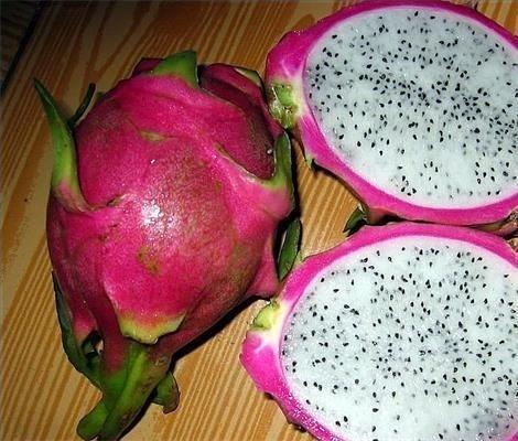 火龙果种植方法图解，火龙果挖一勺埋土里