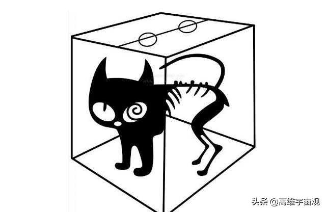 薛定谔的猫为什么恐怖（详解薛定谔猫的隐喻）