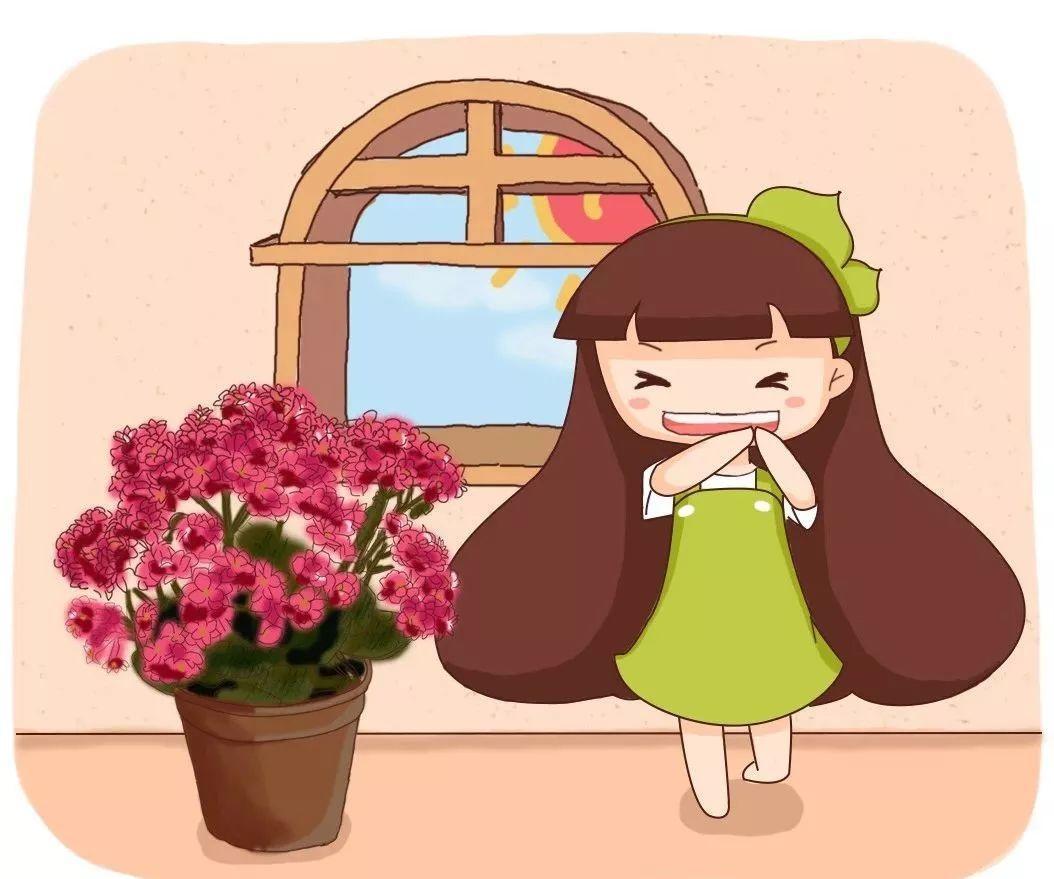 长寿花怎么养才开花（长寿花保姆级养护攻略）