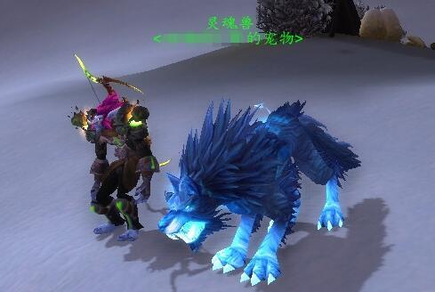 魔兽世界猎人灵魂兽大全图鉴(魔兽世界所有灵魂兽图鉴)