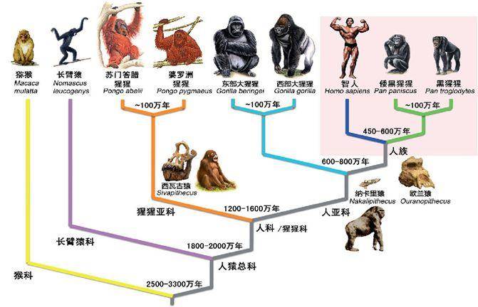 什么动物最早灭绝（地球上五次生物大灭绝详解）