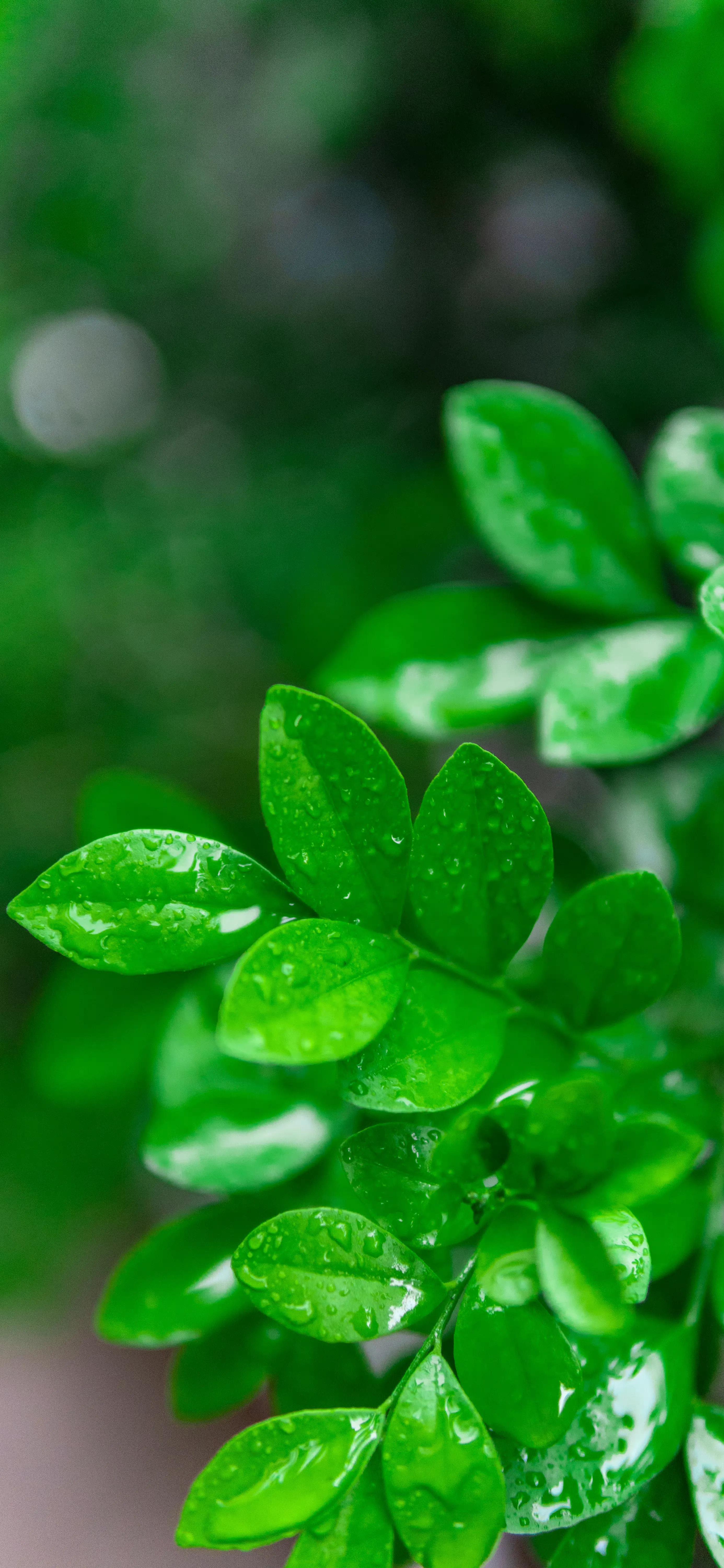 缓解眼睛疲劳壁纸(视疲劳症状及治疗方法)