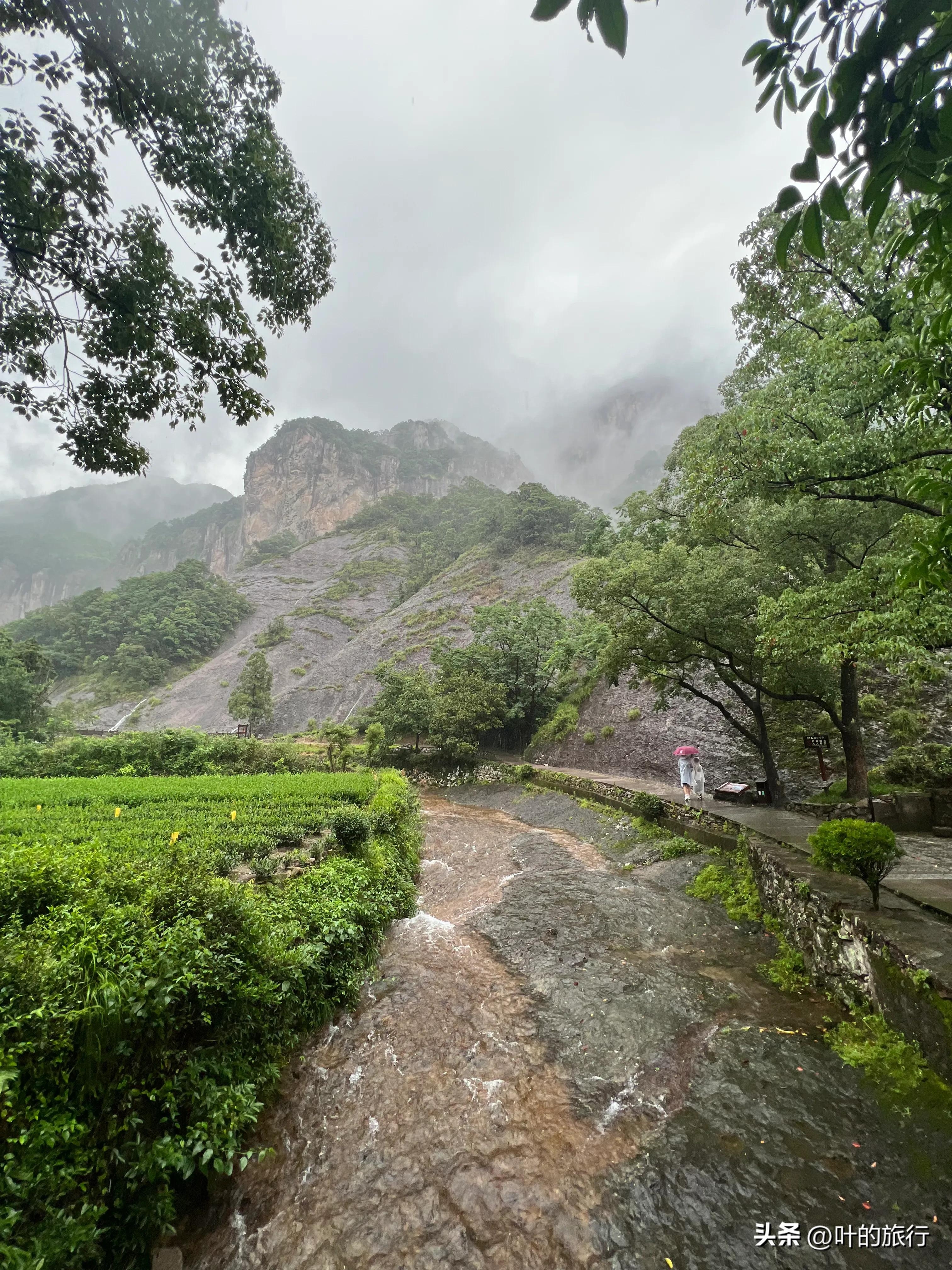 雁荡山好玩吗（雁荡山游玩体验及攻略分享）