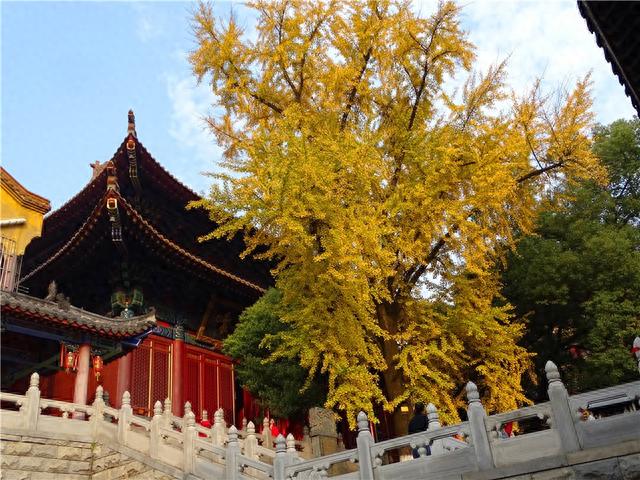 武汉香火最旺的几座寺庙，据说很灵验！你去过几座？