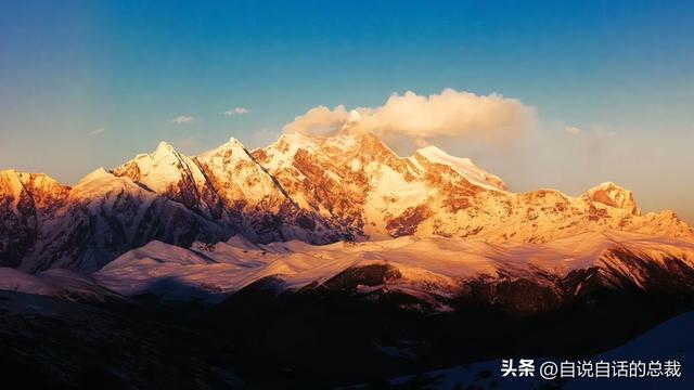 塔黄是什么植物，它被藏民预言为末日神山