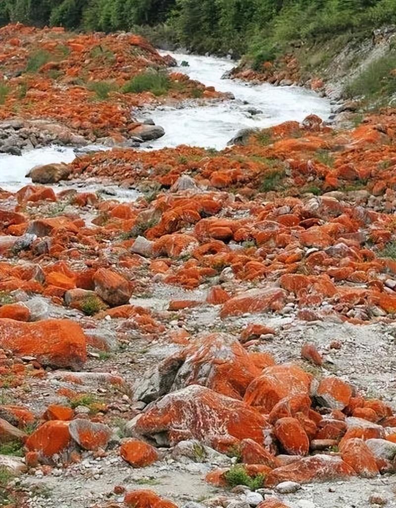 夏天最适合旅游的地方（9个超适合夏天去的绝美打卡地）