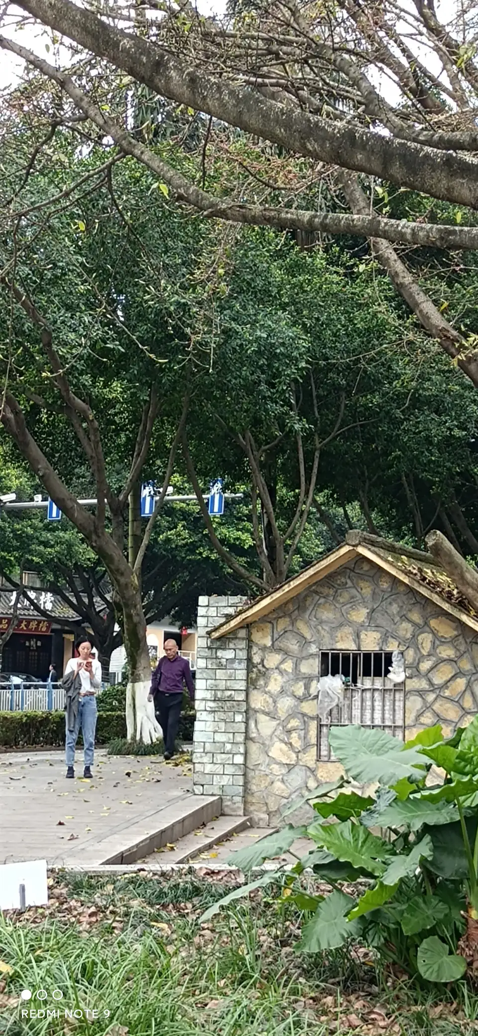 如果你的文章或者头条有言语攻击或者侮辱人的评论，你会怎么做？