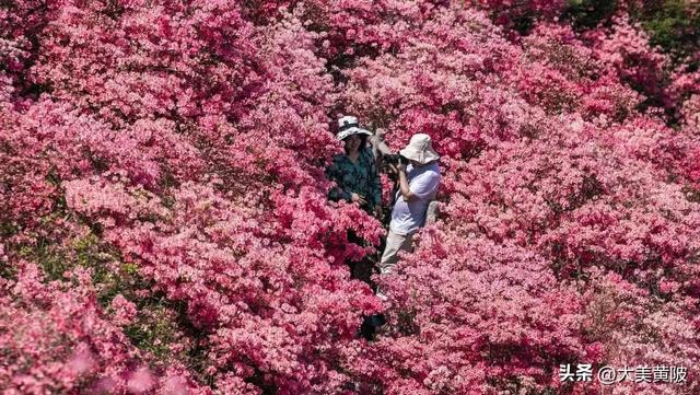 木兰花乡游玩攻略，木兰游精品线路，一键Get