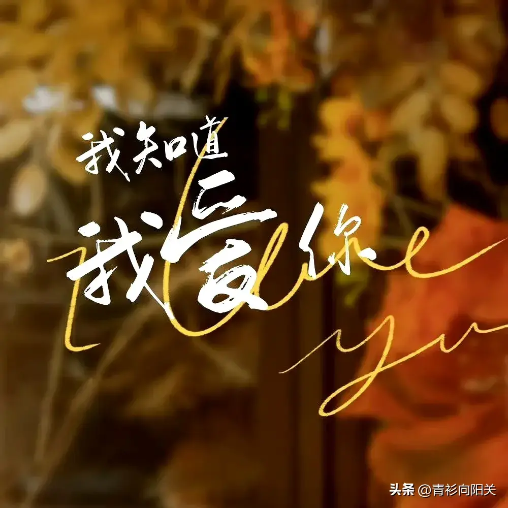 张晚意演过的电视剧有哪些（盘点张晚意4部待播新剧）