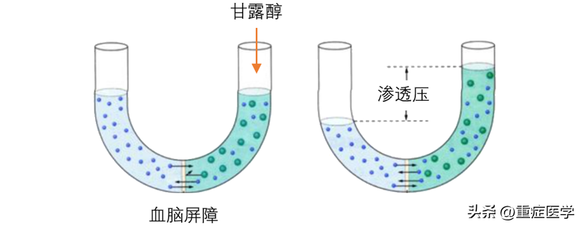 甘露醇作用（甘露醇清肠一般拉多久）