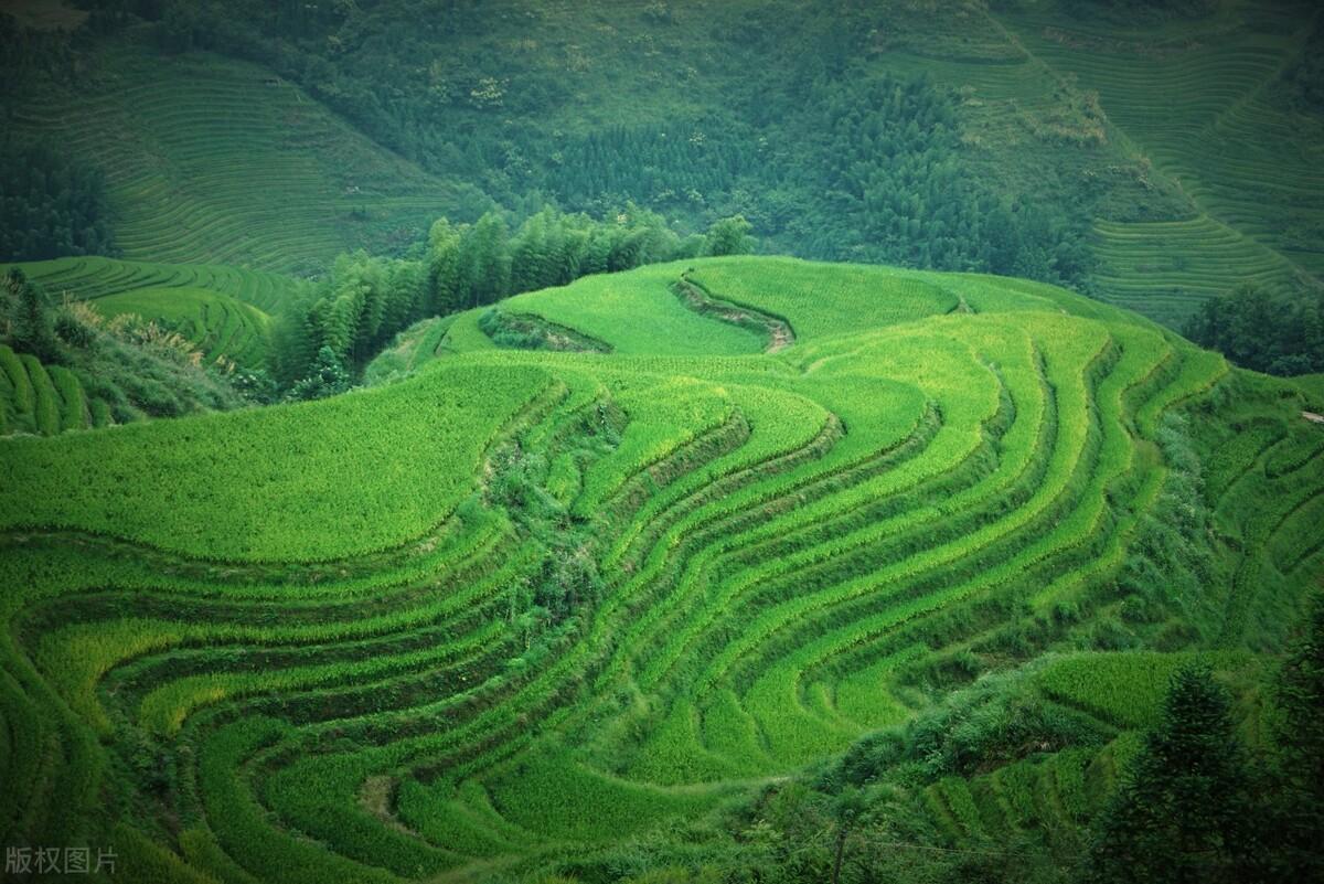 广西旅游攻略必去景点（盘点广西10大必游景点）