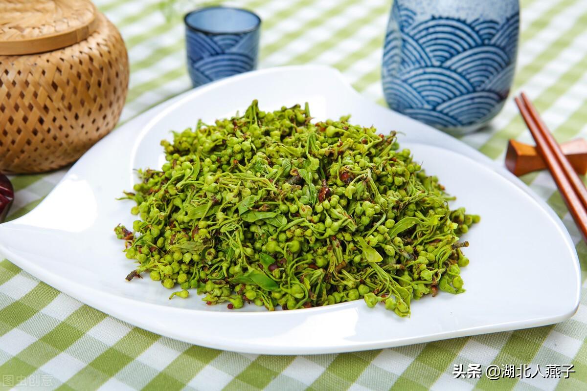 野菜的种类和图片大全（盘点农村50种常见的野菜）