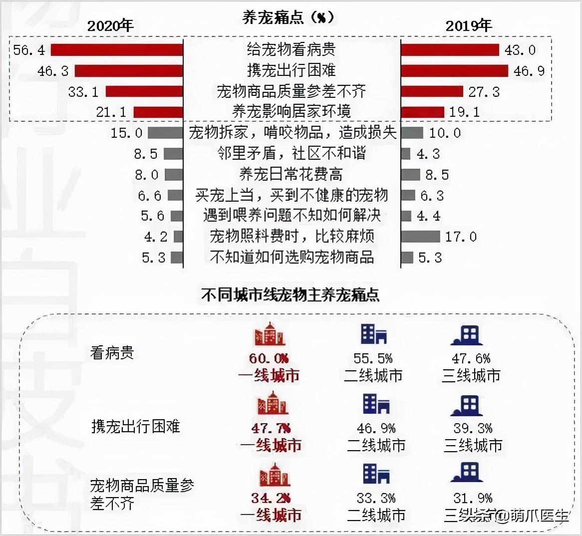 猫咪绝育需要多少费用（猫咪绝育前后注意事项）