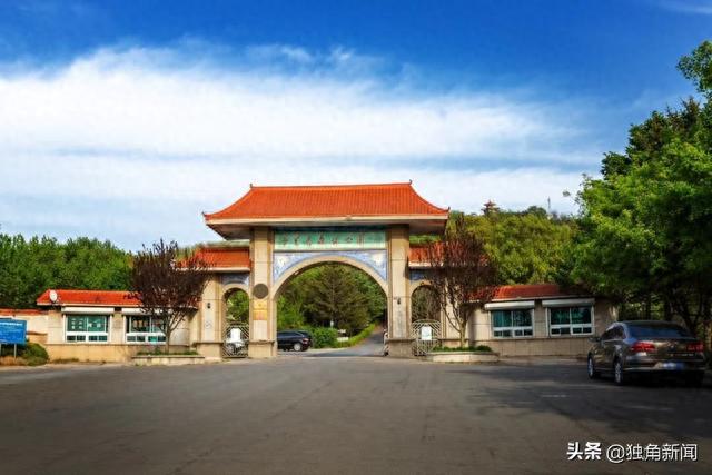 探春寻花，大连普兰店这些打卡地都在你的手机相册里吗？