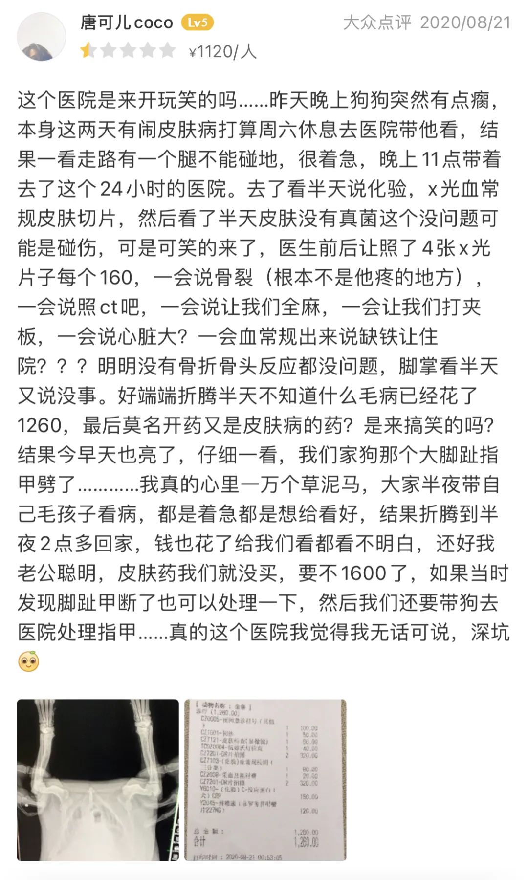 狗狗每天吃多少板蓝根 狗狗喂板蓝根喂多少