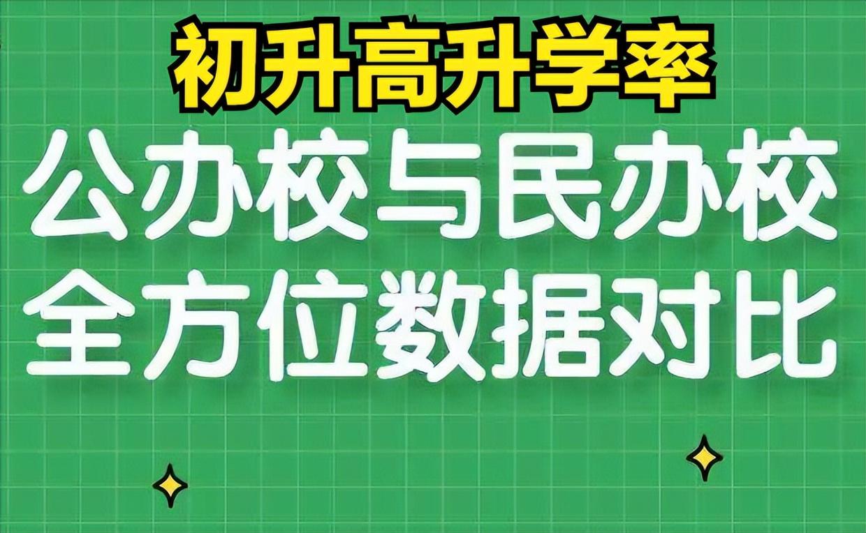 树德中学外国语学校（公办初中初升高升学率均值40）